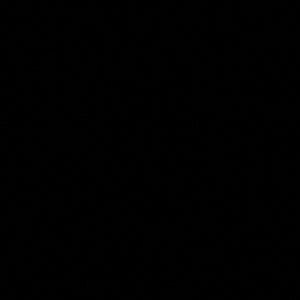 Meet your Posher, Joy